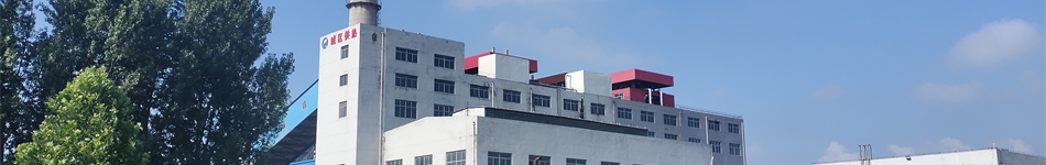 臨朐縣西城熱電有限公司